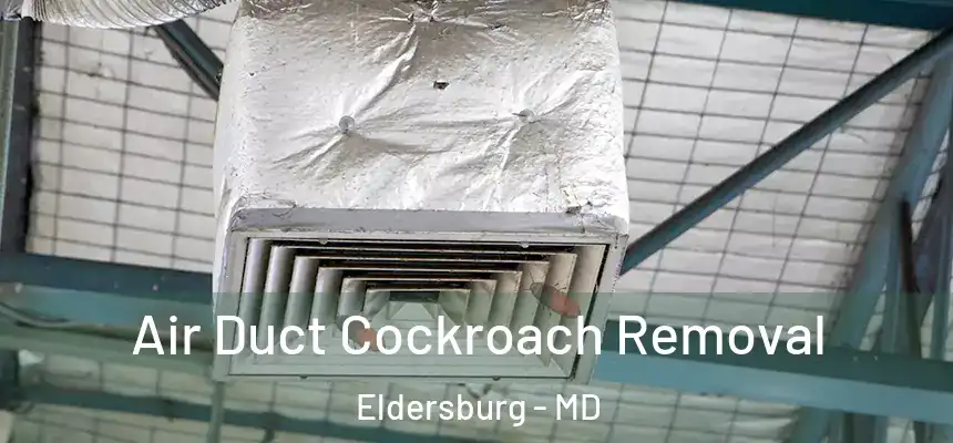  Air Duct Cockroach Removal Eldersburg - MD