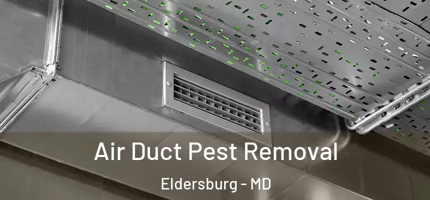  Air Duct Pest Removal Eldersburg - MD