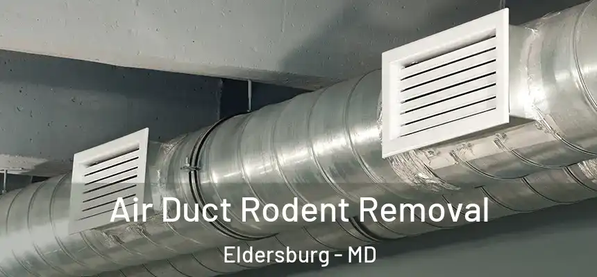 Air Duct Rodent Removal Eldersburg - MD