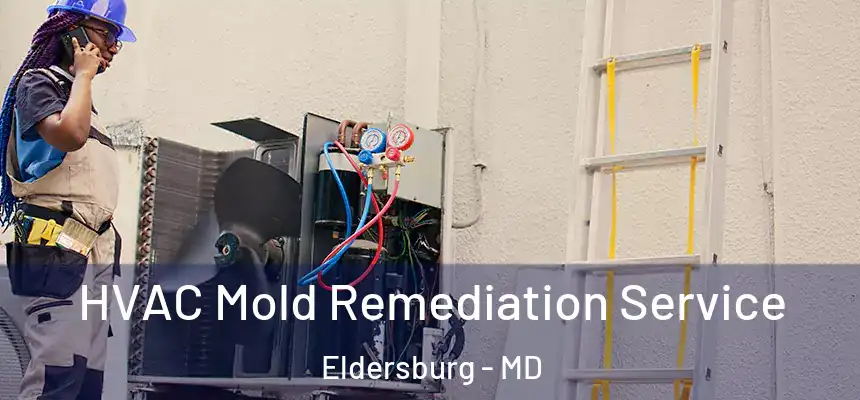  HVAC Mold Remediation Service Eldersburg - MD