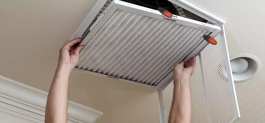 Preventive Cockroach-Proofing for Ducts in Eldersburg