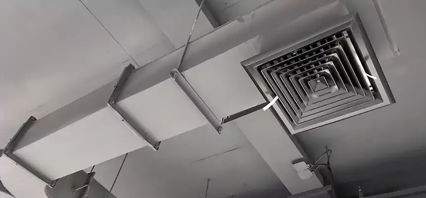 Restorative Allergy Relief Vent Cleaning – Coil, Blower & Housing Detail in Eldersburg