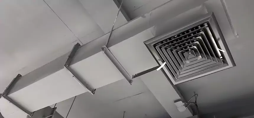 Our Pest Removal From Ducts Services in Eldersburg, MD