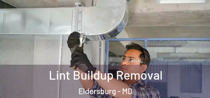  Lint Buildup Removal Eldersburg - MD