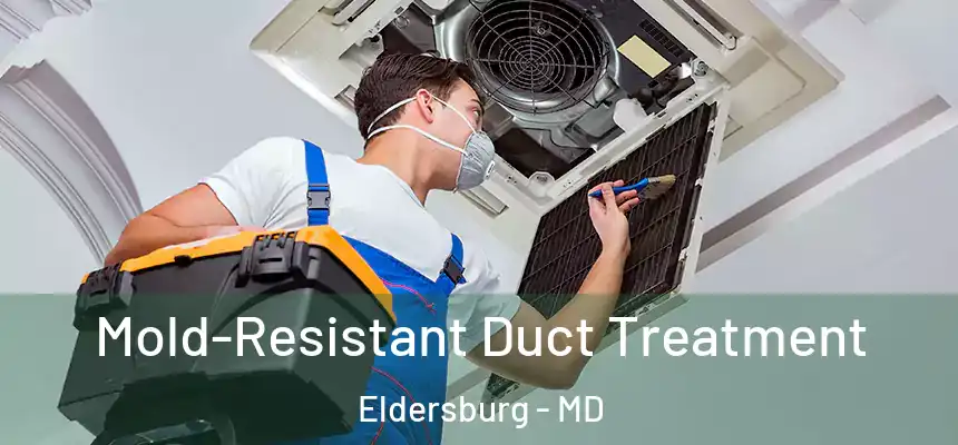  Mold-Resistant Duct Treatment Eldersburg - MD