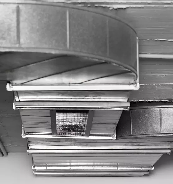 Professional Air Duct Pest Removal in Eldersburg, MD