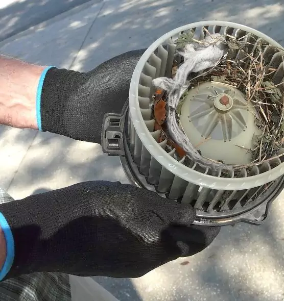 About Air Duct Rat Removal in Eldersburg, MD